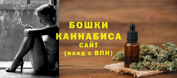 PSILOCYBIN Аркадак