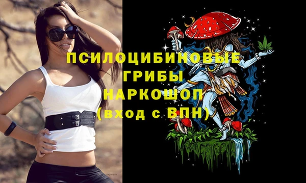 винт Баксан
