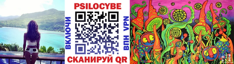 наркотики  Новомосковск  OMG ссылки  Галлюциногенные грибы Psilocybe 