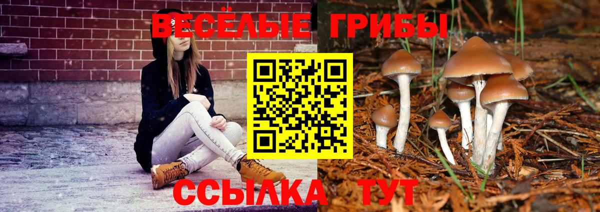 Новомосковск  Галлюциногенные грибы прущие грибы  Псилоцибиновые грибы Cubensis  Вход с VPN 