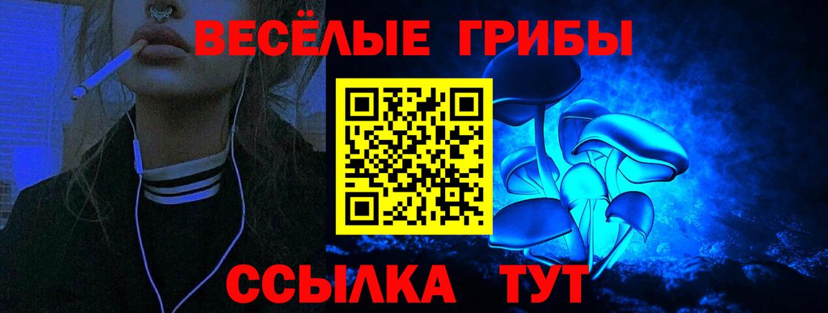 Галлюциногенные грибы Magic Shrooms Новомосковск